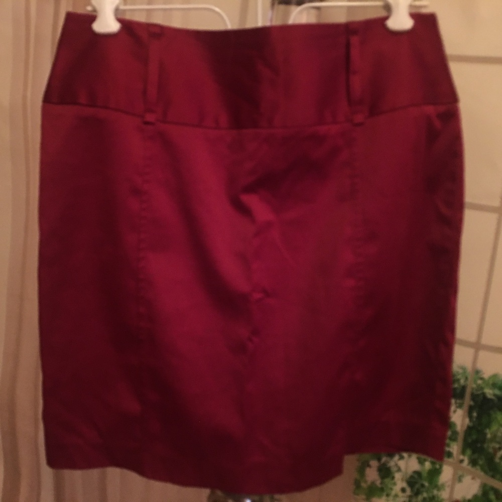 Small Plum Short Skirt